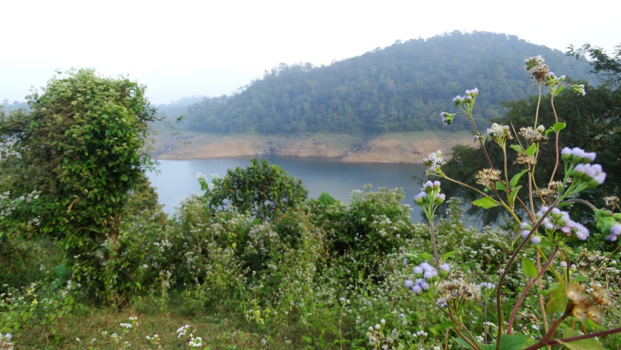 Malakkappara Dam Resort Valparai Exterior photo